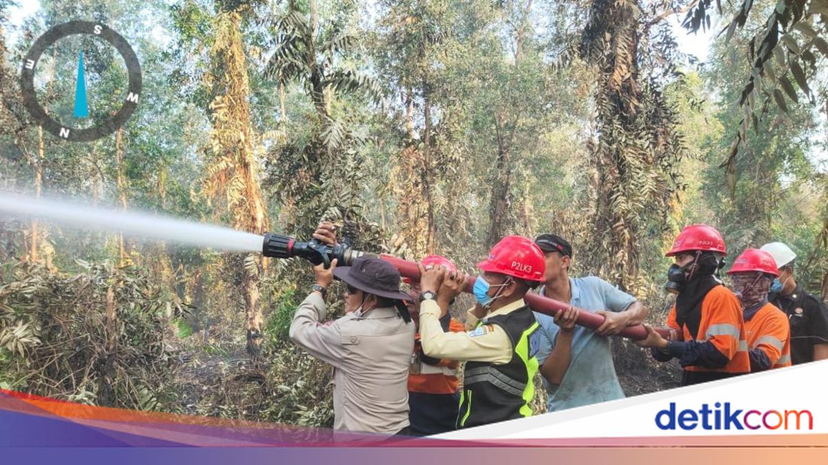 Kebakaran Lahan 1 Hektare di Banyuasin I Sumsel, Polisi Pasang Garis Polisi dan Selidiki Penyebabnya