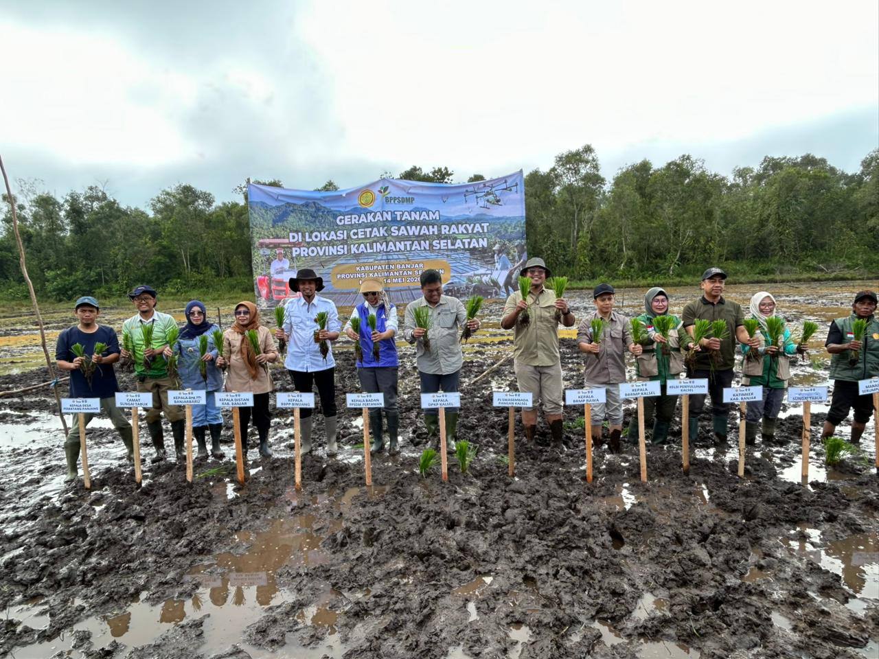 DPKP Kalsel Tanam Padi Varietas Inpari 32 di Lahan Cetak Sawah Rakyat Sungai Tabuk, Target 80 Hektare