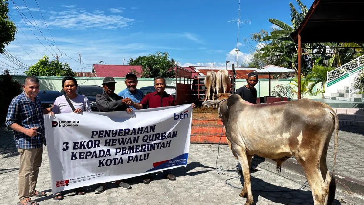 BTN Palu Salurkan Tiga Sapi Kurban Lewat CSR Danantara, Dorong Ekonomi Peternak Lokal Jelang Idul Adha 1447 H