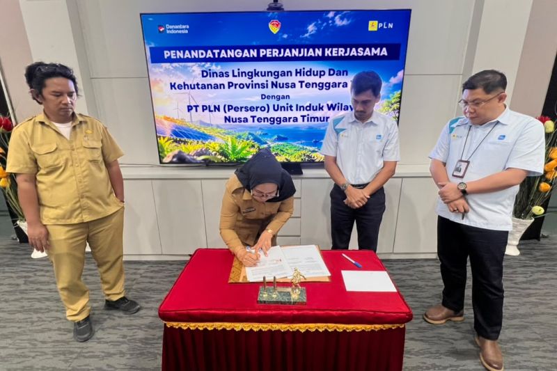 PLN dan DLHK NTT Percepat Jaringan Listrik Desa di 17 Desa Pelosok Lima Kabupaten
