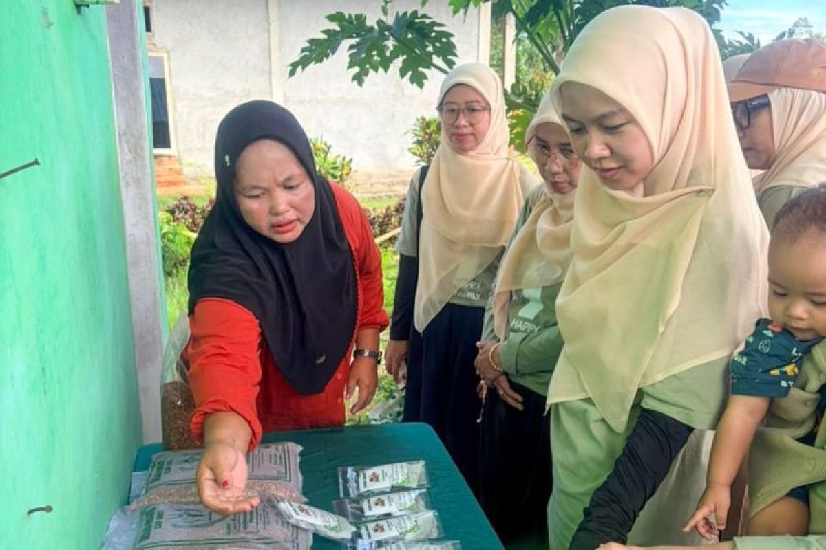 PWAT UBPN Kolaka Belajar Pertanian Organik dan Produksi Teh Bunga Telang di Desa Puubunga