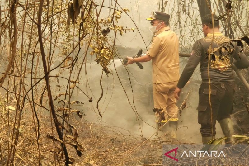 Pemprov Kalteng Perkuat Patroli dan Pembasahan Lahan Cegah Karhutla Meluas, 14.043 Personel Gabungan Dikerahkan