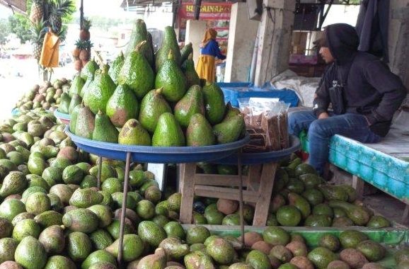 Pemkab Bener Meriah Didorong Segera Terbitkan Qanun atau Perkada Lindungi Alpukat Gayo hingga Kerawang Gayo dari Klaim Pihak Lain