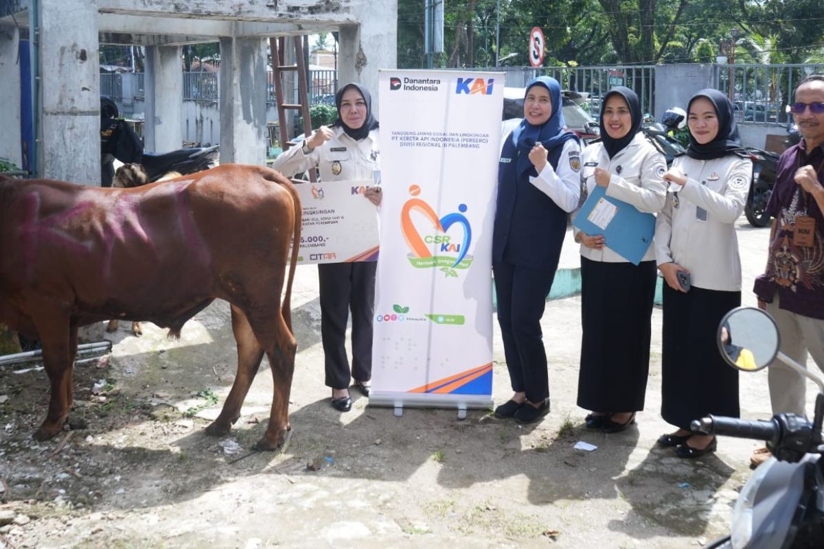 KAI Divre III Palembang Salurkan 30 Ekor Sapi Kurban Idul Adha 1447 H, Bantuan Tersebar di 6 Wilayah Sumsel