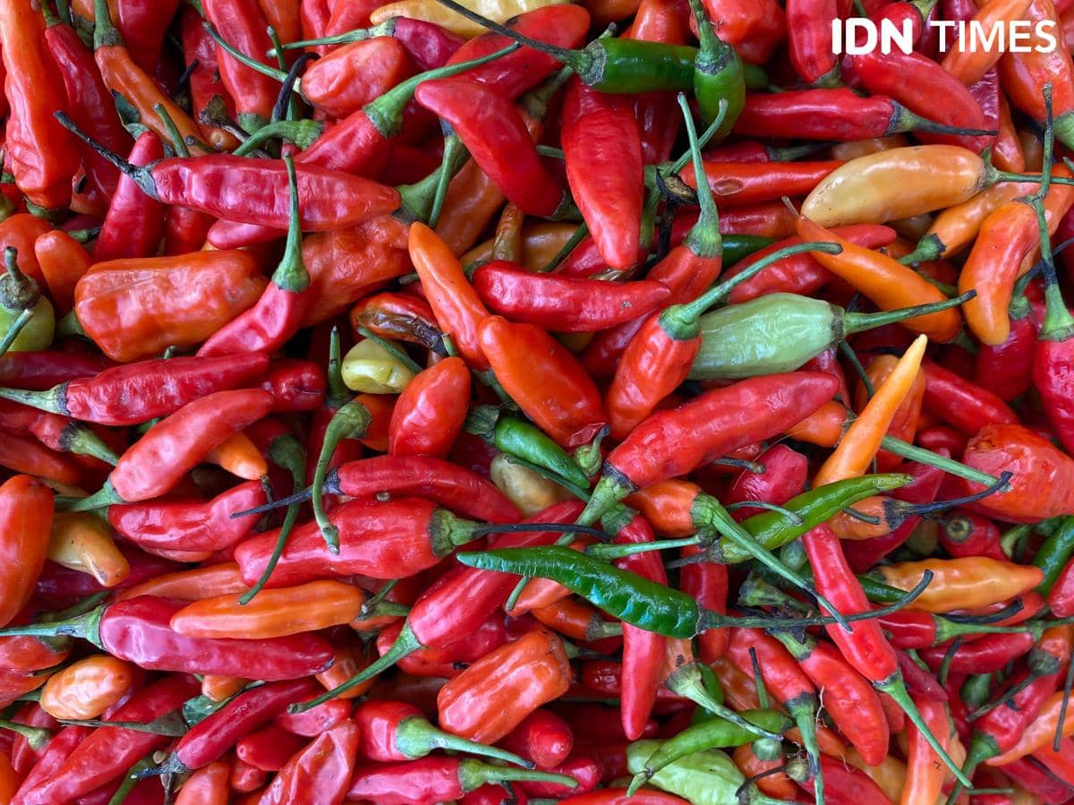 Harga Cabai Rawit di Bali Tembus Rp72.565 per Kilogram per 19 Mei 2026, Beras SPHP Masih Rp11.653