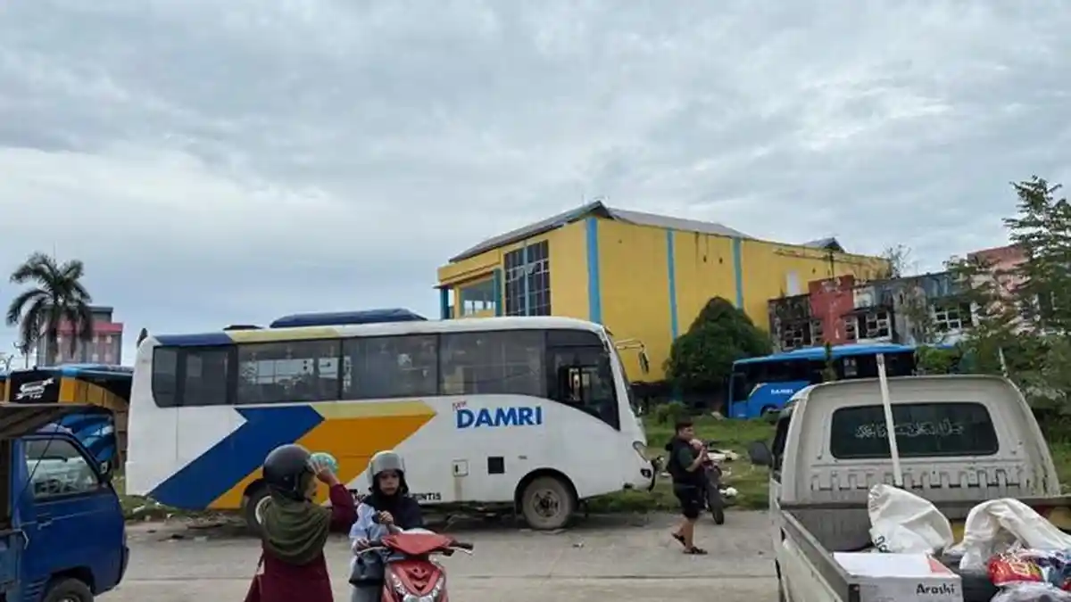 Jadwal Damri Tanjung Selor Hari Ini Minggu 14 Juni 2026, Tarif Perintis Turun - Simak Rute dan Harga Tiket Terbaru