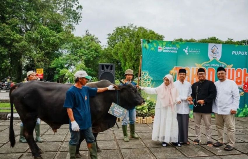 Pupuk Kaltim Salurkan 175 Ekor Hewan Kurban Senilai Rp3,6 Miliar ke Ribuan Warga Bontang