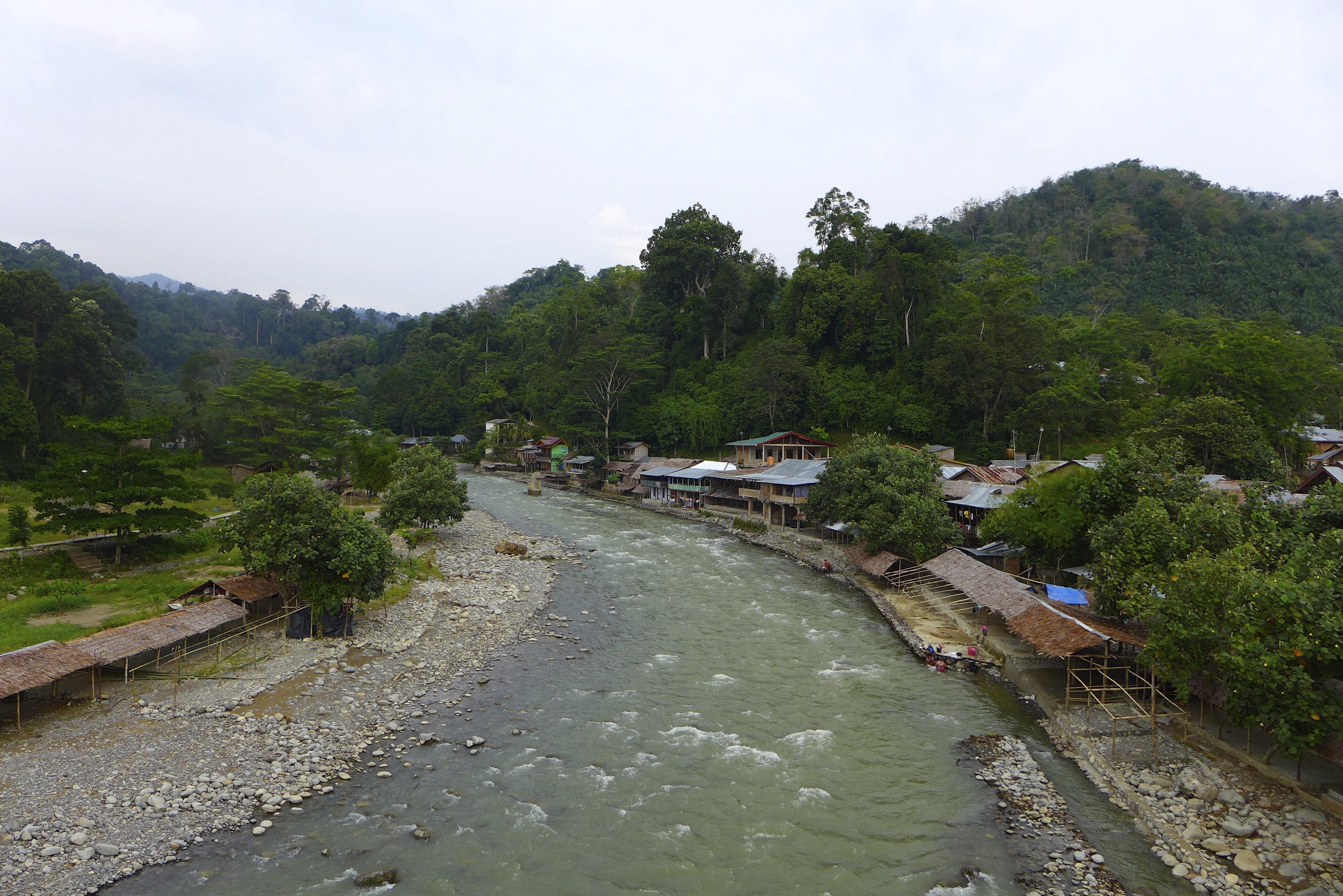 Bukit Lawang, Surga Trekking Orangutan Sumatera di Taman Nasional Gunung Leuser