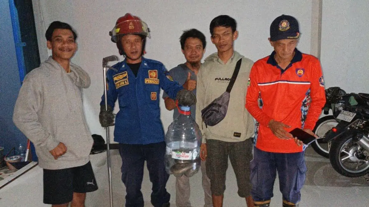 Warga Ngemplak Boyolali Geger Temukan Kobra di Tumpukan Kasa Kios Usaha, Begini Kronologinya