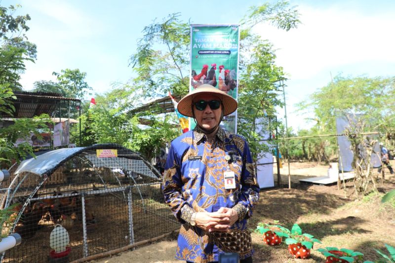 Populasi Ternak Jateng Capai 6,3 Juta Ekor, Kebutuhan Hewan Kurban Idul Adha 2026 Dipastikan Surplus