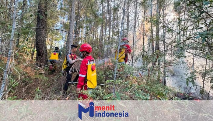 Kebakaran Hutan di Sulsel Meluas ke 4 Wilayah, 15 Hektare Lahan di Tana Toraja Hangus