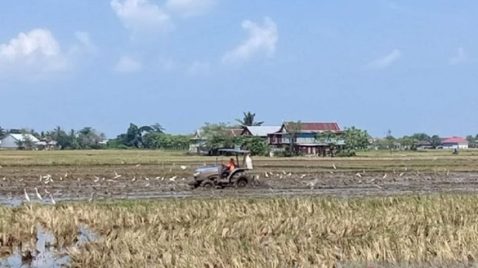 Pemkab Sidrap Kerahkan Mobil Tangki Air untuk 34.000 Hektare Sawah Irigasi yang Terancam Kekeringan