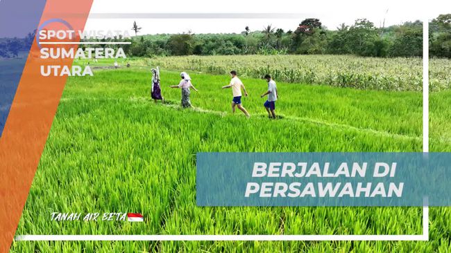 Mengintip Pesona Persawahan Desa Simarimbun Dolok di Sumatera Utara, Lokasi Syuting Bareng Selebriti