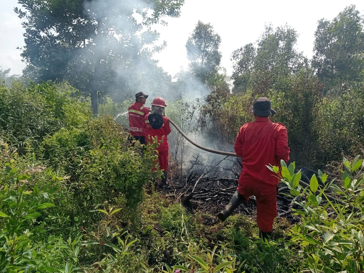 Tim Gabungan Padamkan Karhutla 15 Hektare di Ogan Ilir, Lahan Rawa Masih Berpotensi Simpan Bara