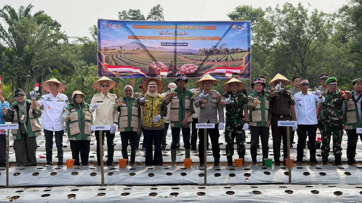Dandim 0405 Lahat Letkol Inf David Jihandika Tanam Bawang Putih Bersama Forkopimda di Desa Gedung Agung