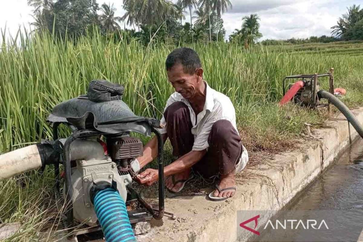 Petani Aceh Besar Andalkan Pompa Air Irigasi Sawah Tadah Hujan, Ratusan Hektare Terancam Kekeringan