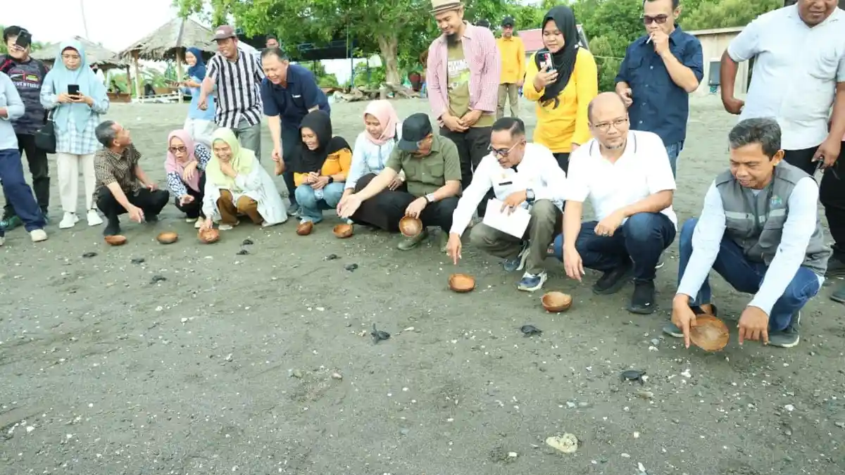 Bappeda Sulteng Dorong Pesisir Donggala Jadi Destinasi Wisata Edukasi Konservasi Penyu