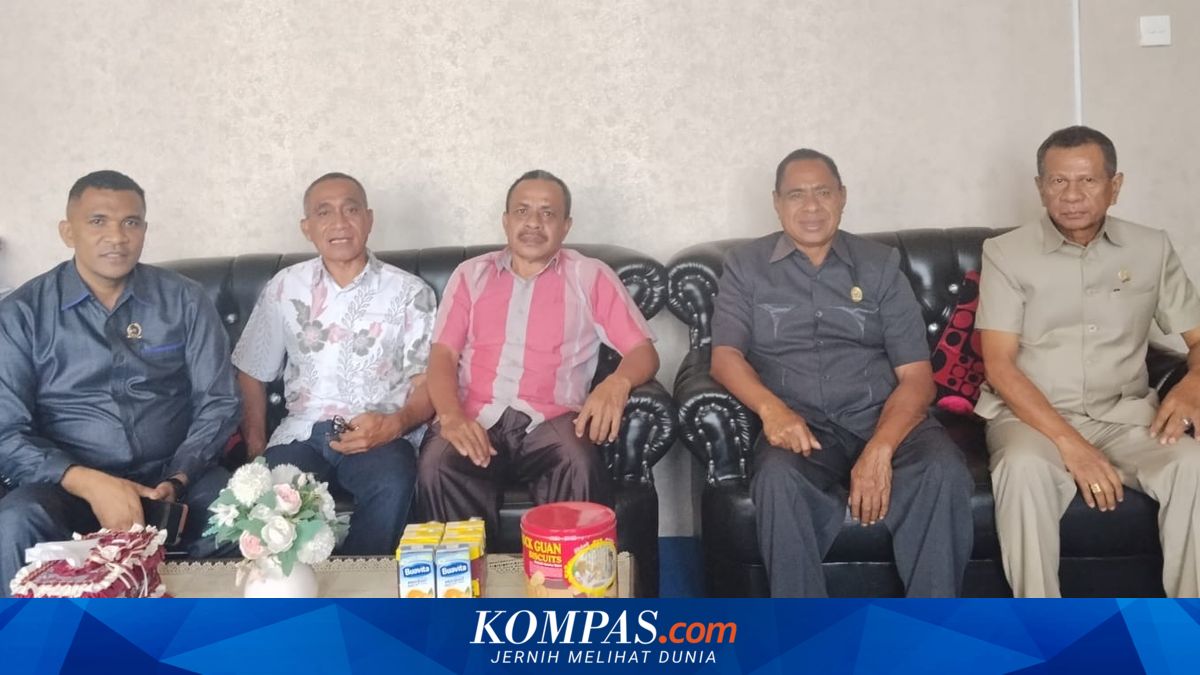 Dokter IGD di RS Leona TTU Depresi Usai Diintimidasi Dua Anggota DPRD Saat Jaga Pasien Gigitan Ular