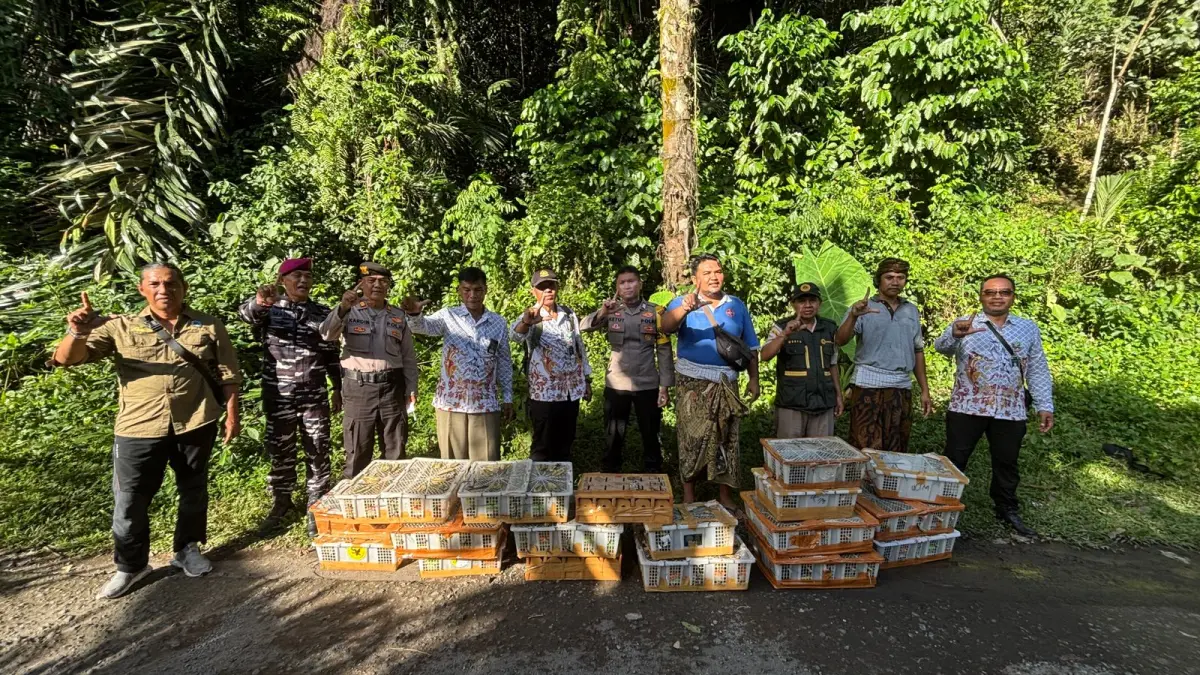 Bali Jadi Jalur Utama Perdagangan Burung Ilegal Nasional, 10.739 Ekor Disita Sepanjang Januari-Mei 2026