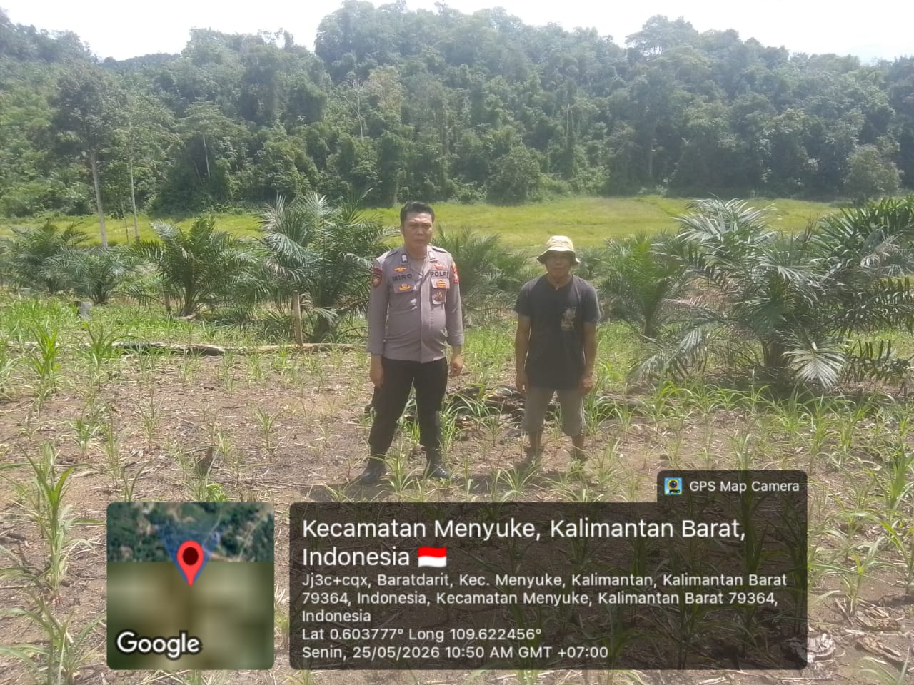 Bhabinkamtibmas Landak Cek Lahan Jagung 2 Hektare di Desa Ansang, Target Swasembada Pangan 2026