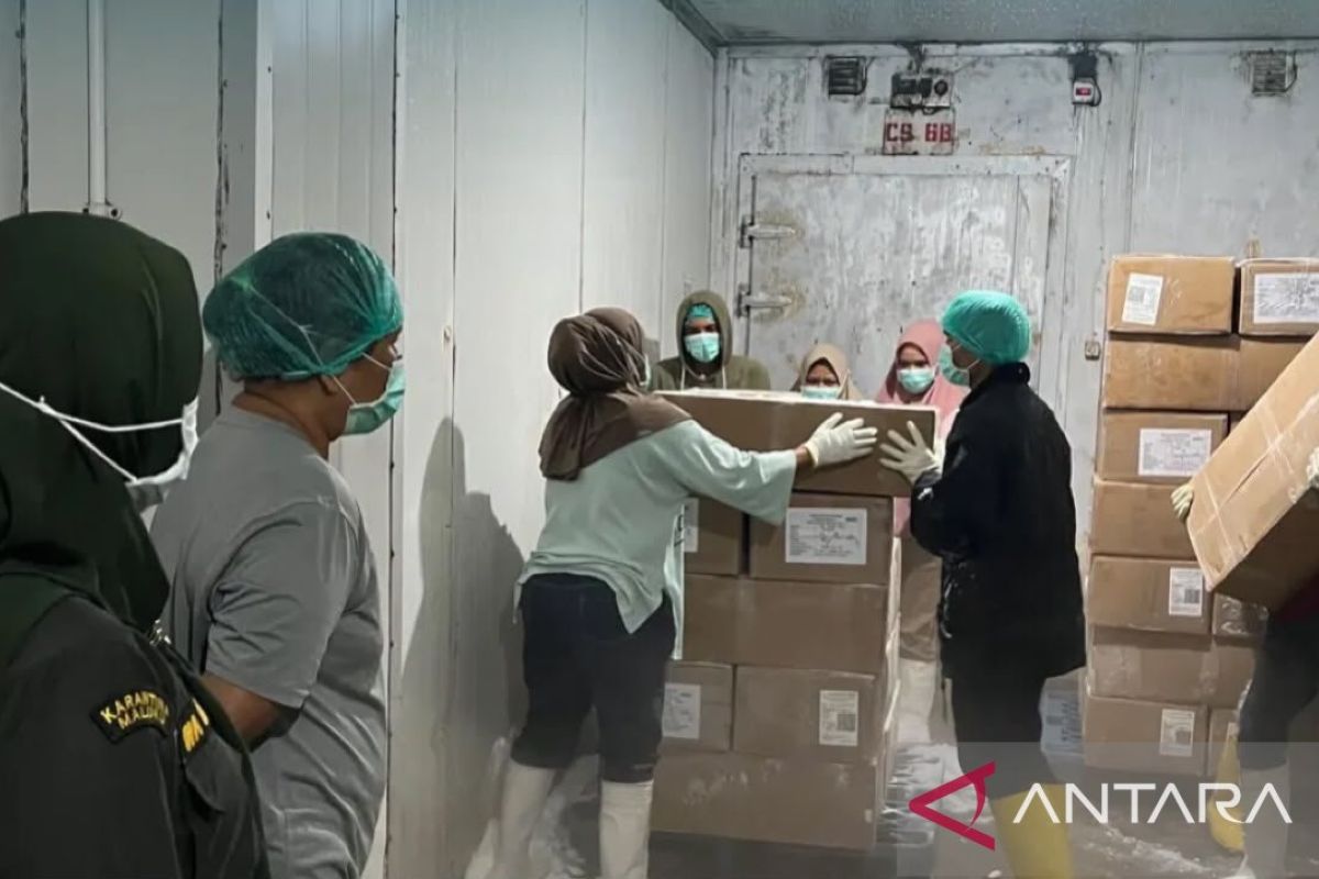BKHIT Maluku Fasilitasi Ekspor 25,8 Ton Yellowfin Tuna Loin ke Vietnam, Perkuat Daya Saing Perikanan Daerah