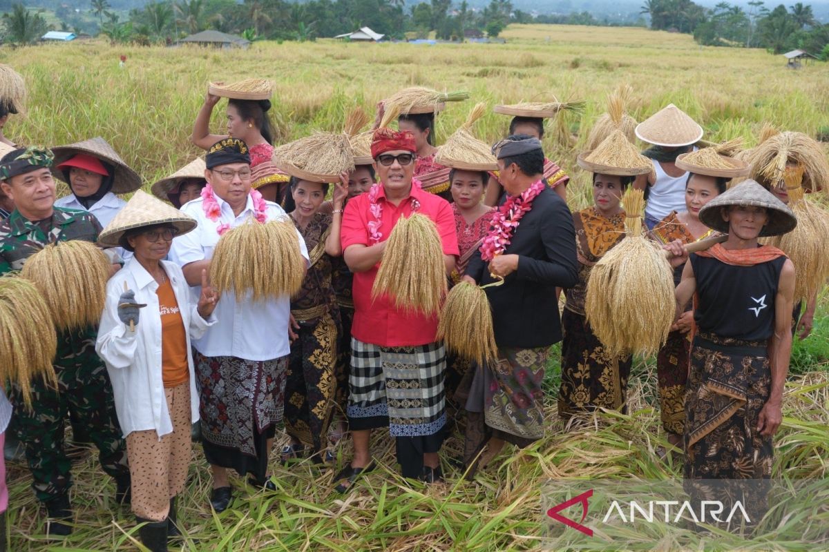Bupati Tabanan Resmi Buka Festival Jatiluwih 2026, 2.000 Pelari dan Ribuan Wisatawan Serbu Desa Warisan UNESCO