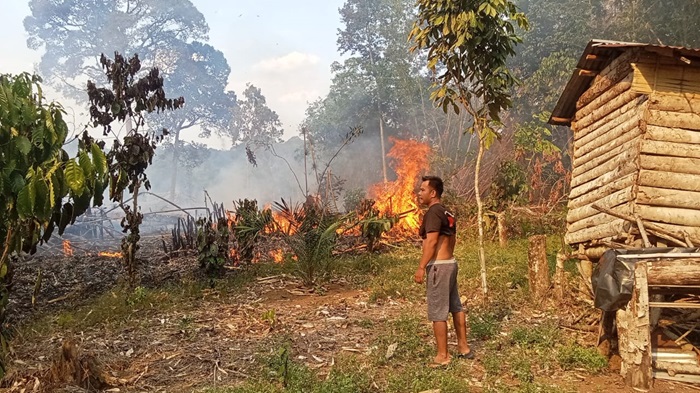 Lahat Resmi Siaga Karhutla, 11 Kabupaten di Sumsel Bersiap Hadapi Puncak Kemarau Agustus-September 2026