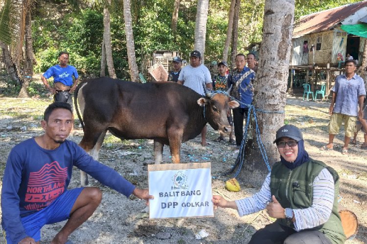 Balitbang DPP Partai Golkar Gelar Pemotongan Hewan Qurban di Pulau Longos, Manggarai Barat, Warga Terpencil Terbantu