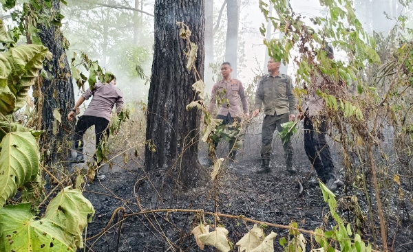 Brimob Polda Aceh Kerahkan Puluhan Personel Padamkan Kebakaran Hutan di Lembah Seulawah