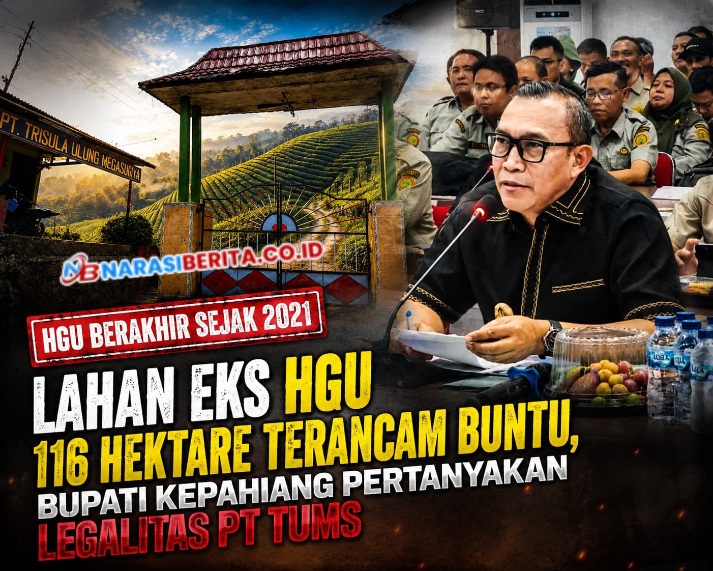Bupati Kepahiang Pertanyakan Legalitas PT TUMS di Lahan Eks HGU 116 Hektare, Izin Perkebunan Disebut Tak Sesuai Aktivitas