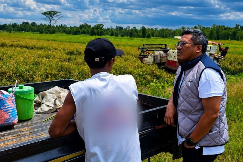 Bulog Kalteng Serap 14.130 Ton Gabah Petani, Stok Beras 17 Ribu Ton Dipastikan Aman Hingga Akhir Tahun