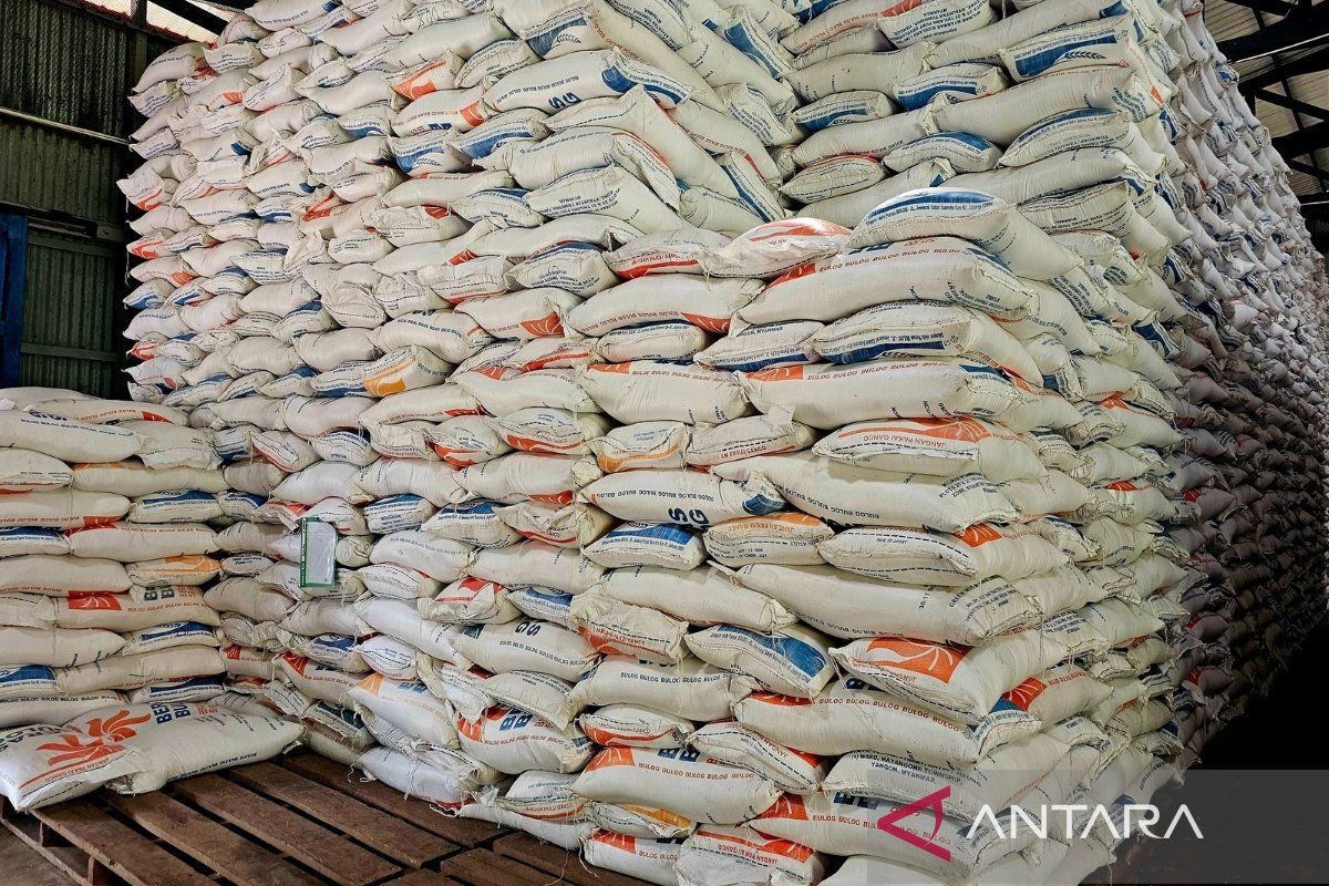 Bulog Natuna Siapkan Bantuan Beras 10 Kilogram untuk 7.321 Penerima Manfaat di Perbatasan, Disalurkan Per Bulan Mulai Juli 2026