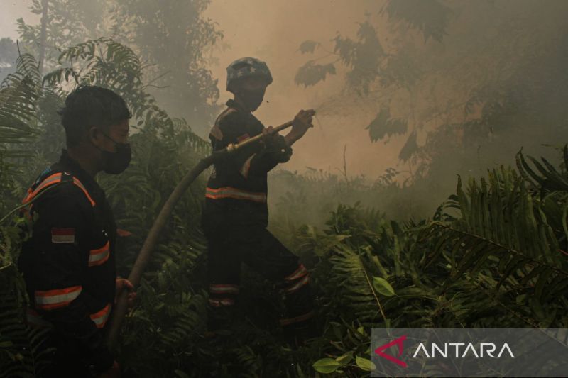Pemkot Palangka Raya Terbitkan Perda Karhutla Nomor 2 Tahun 2026, Atur Sanksi hingga Libatkan Warga