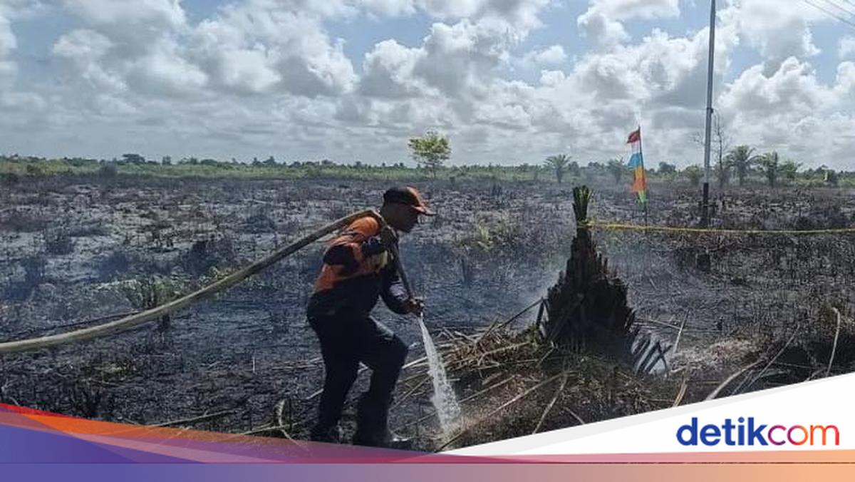 353 Kebakaran Hutan dan Lahan Melanda Kalteng Hingga Awal Juli, Kotawaringin Timur Alami Kerusakan Terluas