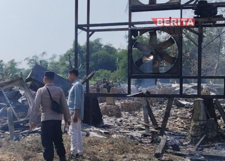 Kebakaran Kandang Ayam di Grobogan Hanguskan 20 Ribu Ekor Ayam, Dua Peternak Rugi Rp 1,5 Miliar