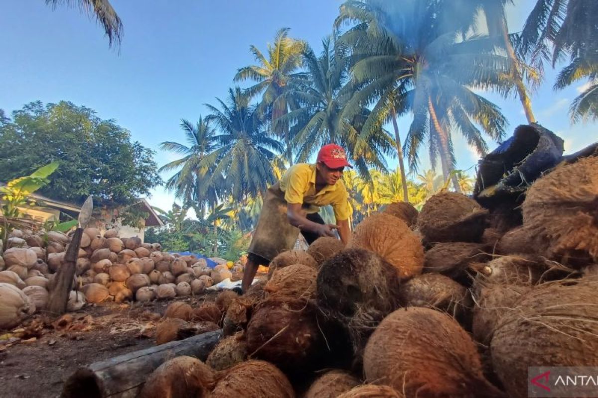Kemiskinan Kepri Turun ke 4,09 Persen pada Maret 2026, BPS Catat 111 Ribu Jiwa