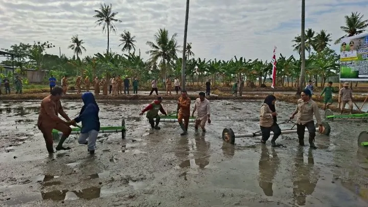 Polbangtan Gowa Terjunkan Mahasiswa ke Bone untuk Percepatan Tanam dengan Metode Modern, Target IP 300