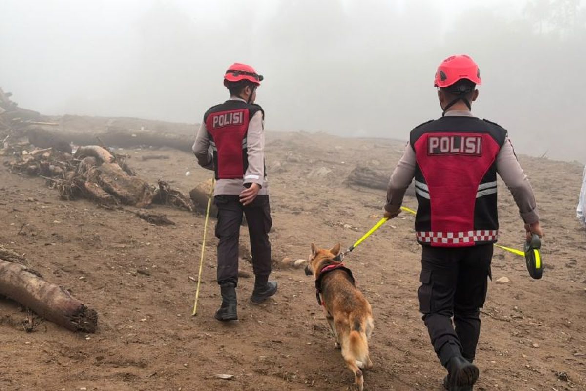 Polda Sumbar Kerahkan 2 Ekor K9 dan 4 Personel SAR Cari Korban Banjir Bandang Solok