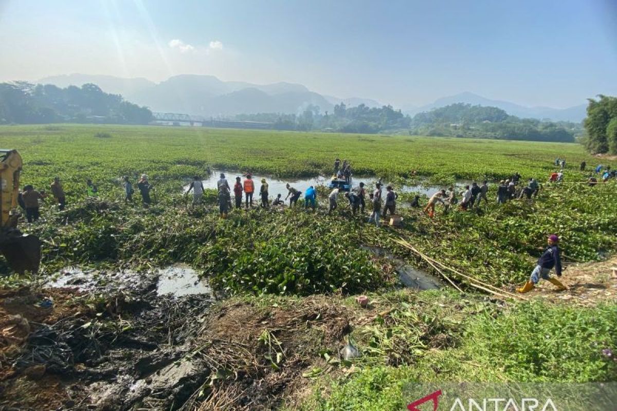 Pemkab Bandung Barat Kerahkan 4 Perahu Ponton dan 2 Alat Berat Bersihkan Eceng Gondok di Waduk Saguling, Target 120 Hektare