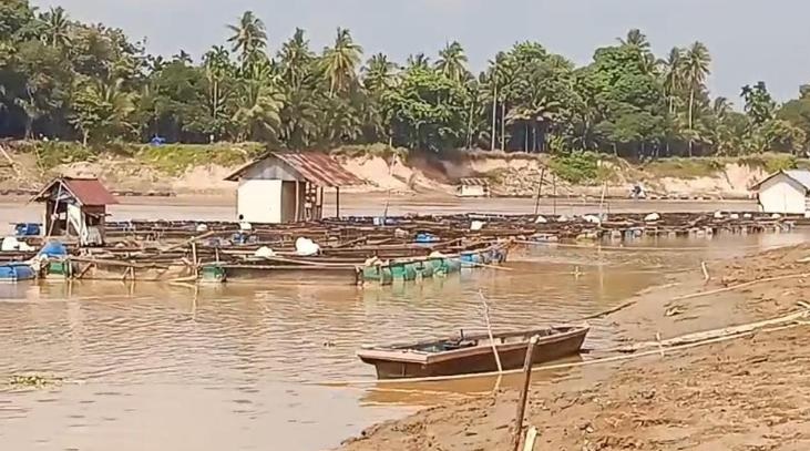 Kemarau Panjang di Muaro Jambi, Debit Sungai Batanghari Menyusut Drastis hingga Hamparan Pasir Tersingkap