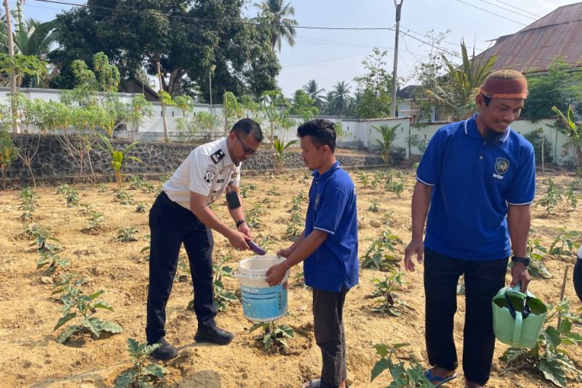 Rutan Raha Panen Terong dari Kebun Warga Binaan, Hasilnya untuk Dapur Rutan dan Ketahanan Pangan