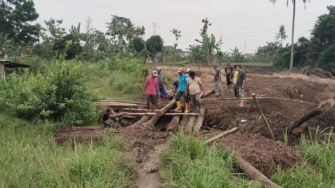 Di Pinggir Bandar Lampung, Warga Fajar Baru Gotong Royong Bangun Jembatan dari Batang Kelapa Demi Akses Tak Putus