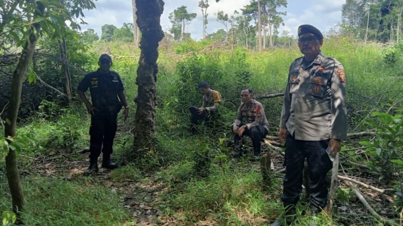 3 Warga Diserang Beruang di Musi Rawas, BKSDA Pasang Perangkap di Perkebunan Ciptodadi
