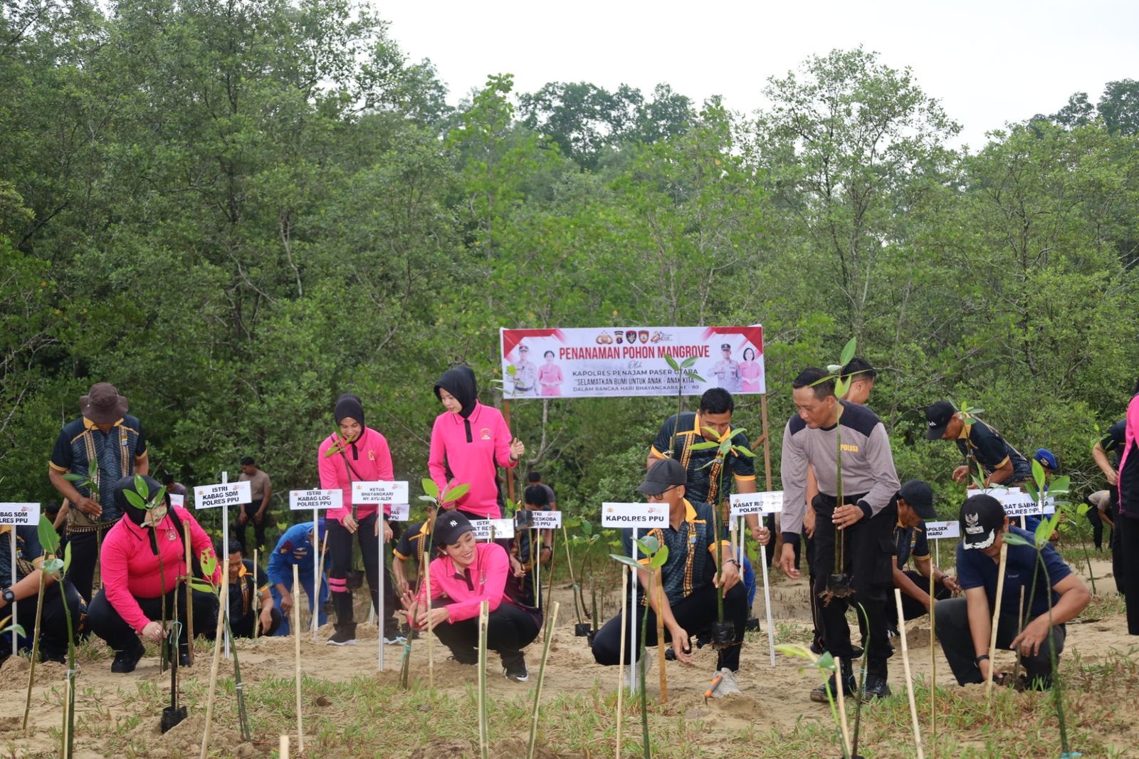 Polres PPU Tanam 1.000 Bibit Mangrove di Pantai Nipah-Nipah, Antisipasi Abrasi yang Ancam Pesisir Penajam