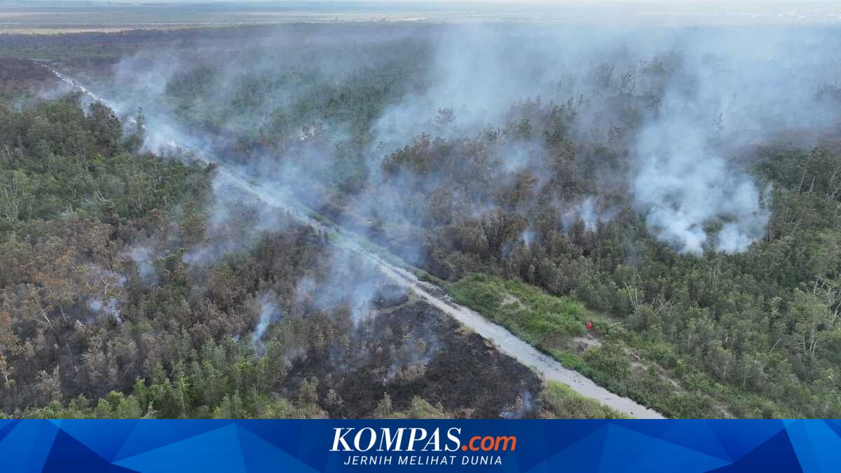 11 Kabupaten di Sumsel Siaga Darurat Karhutla, Kabupaten Lahat Terbaru Tetapkan Status Antisipasi Puncak Kemarau