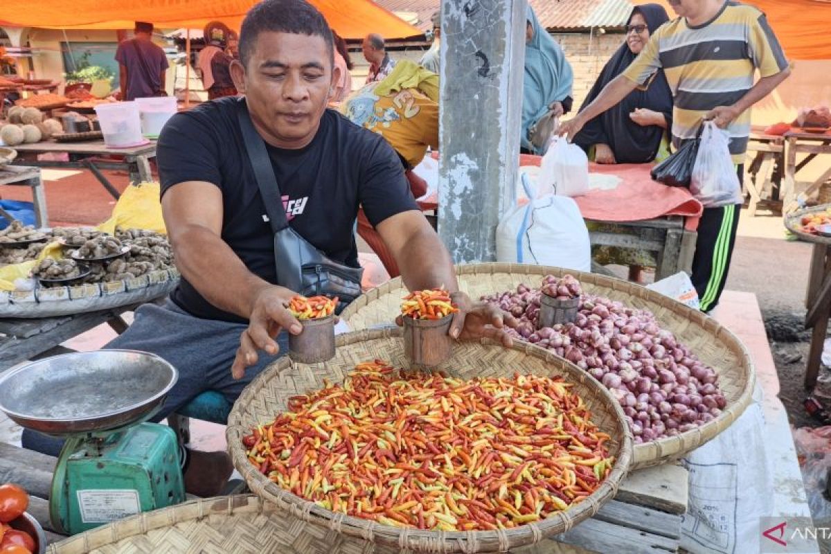 Harga Cabai Rawit di Gorontalo Utara Tembus Rp 200.000 per Kilogram, Pedagang Pasok dari Buol