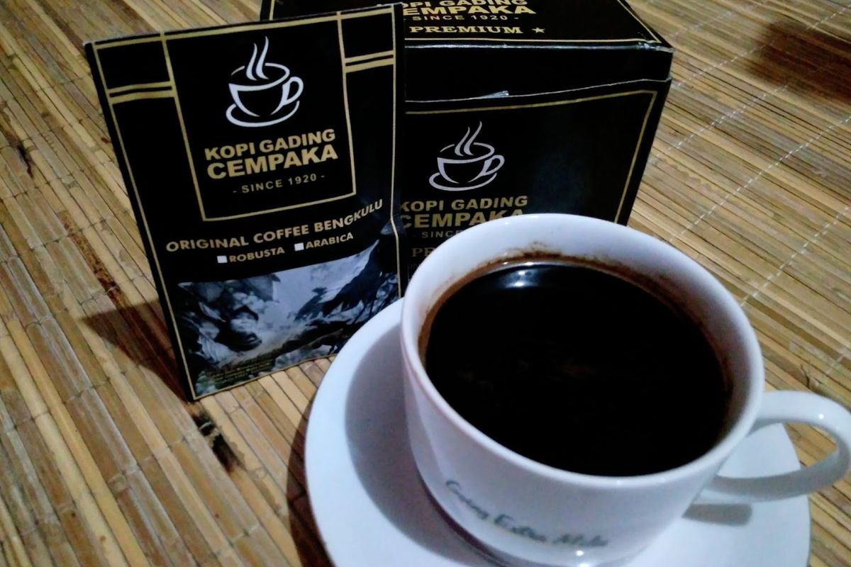 Data Luas Kebun dan Indikasi Geografis Jadi Kunci Popularitas Kopi Bengkulu