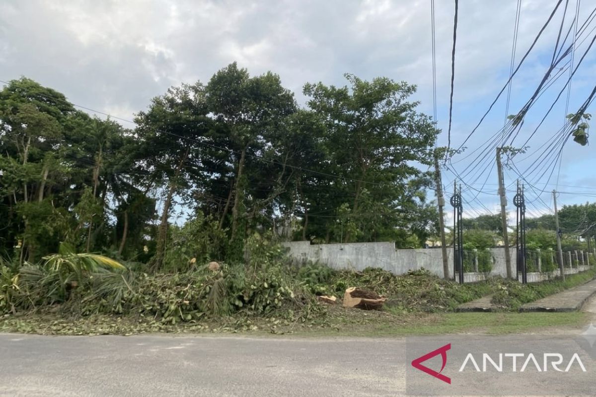 Elvi Diana Dorong Dinas Lingkungan Hidup dan PLN Bersihkan Lahan Kosong di Mentok Bangka Barat