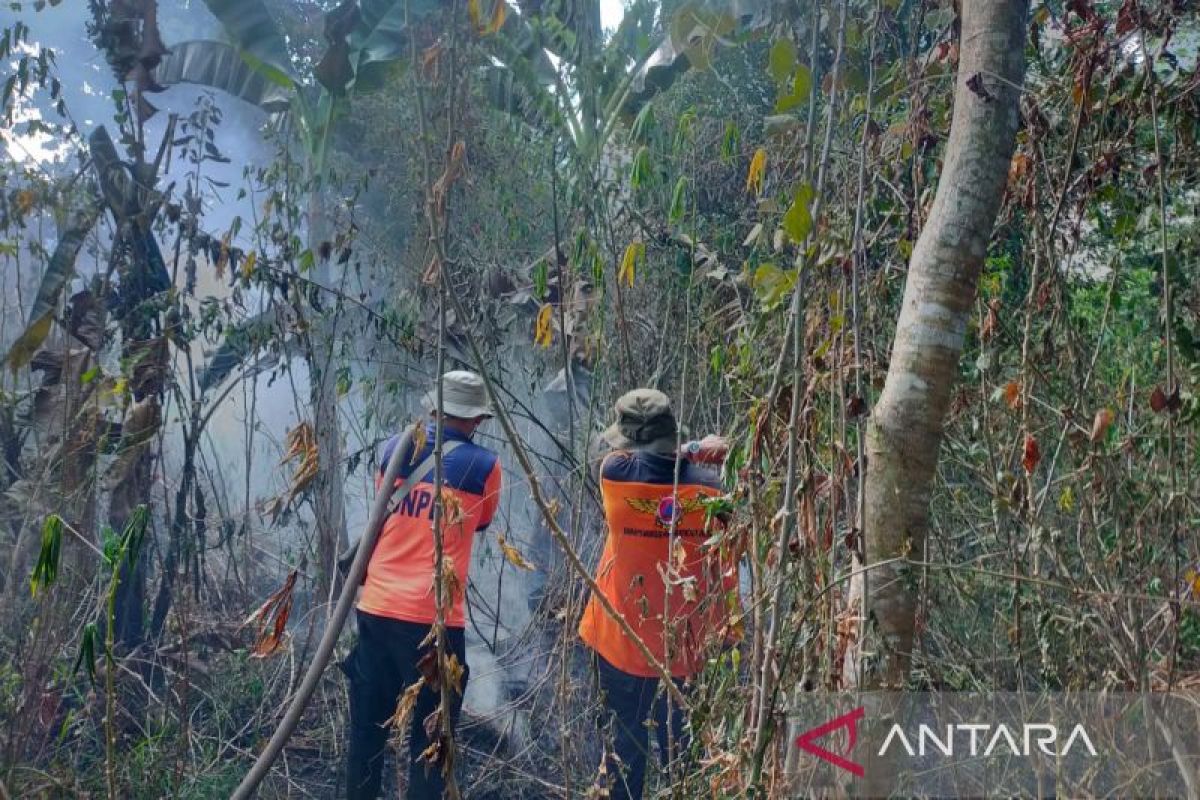 Karhutla Satu Hektare di Kelurahan Sekarjaya OKU Padam, Petugas Masih Lakukan Pendinginan Cegah Api Muncul Kembali