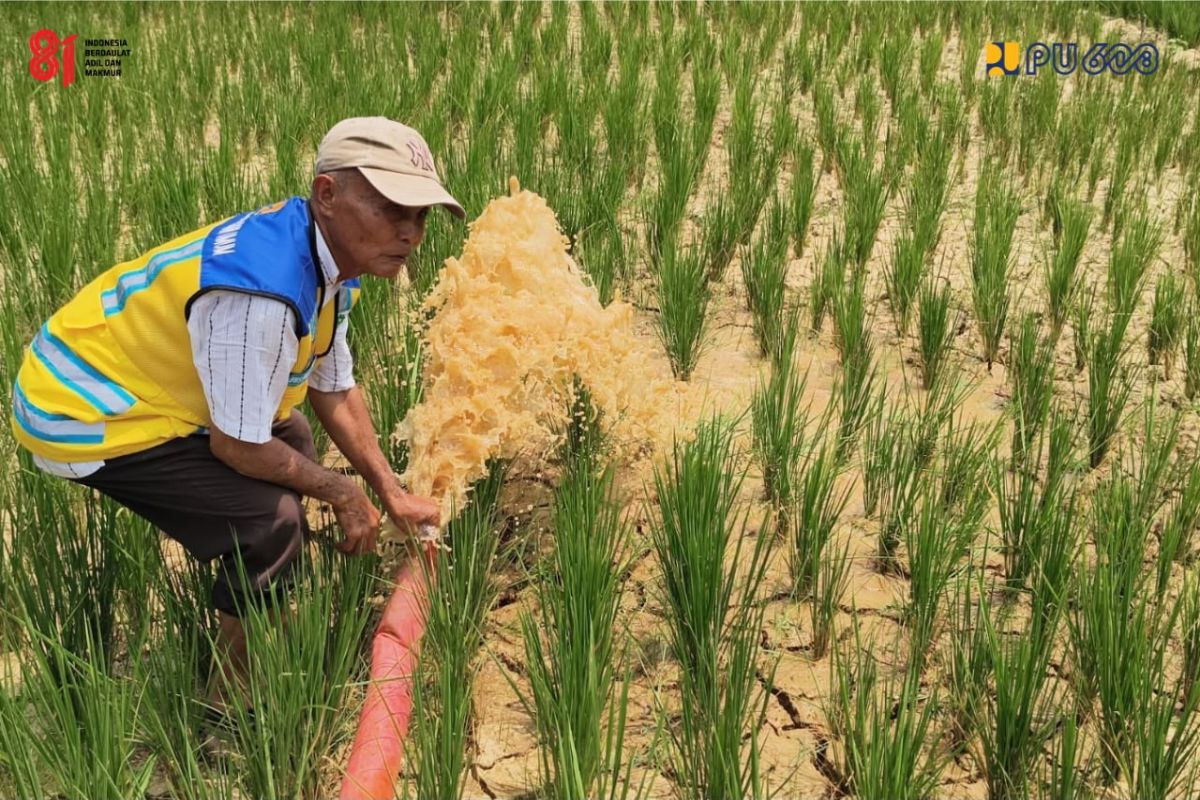 Menteri PU Dody Hanggodo Pastikan Pasokan Air untuk Petani Sarolangun Terjaga Lewat Pompa Irigasi